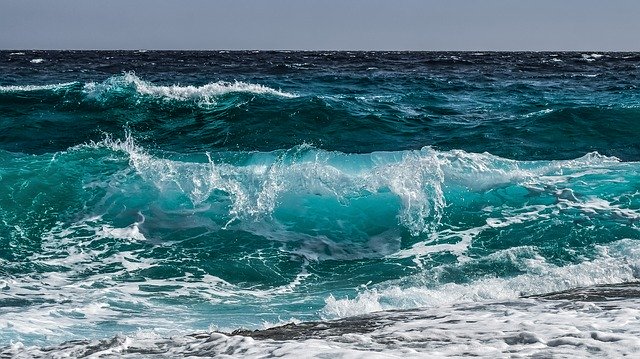 La importancia del océano - 50% del oxigeno que respiramos